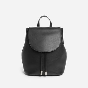 Everlane Leather Backpack